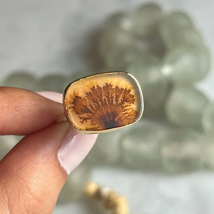 Rings Emily Amey Jewelry Orange Dendrite Agate Ring in 14k gold and sterling silver