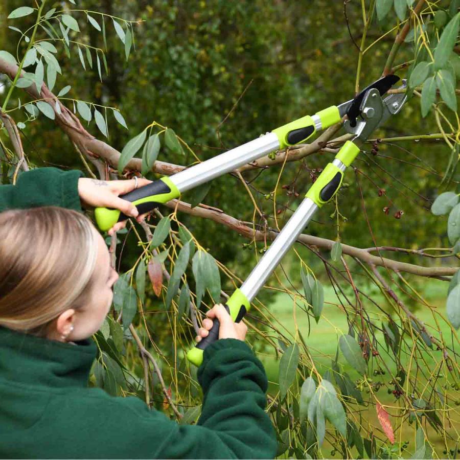 Garden Tools |  Telescopic Anvil Lopper Garden Tools Garden Tools