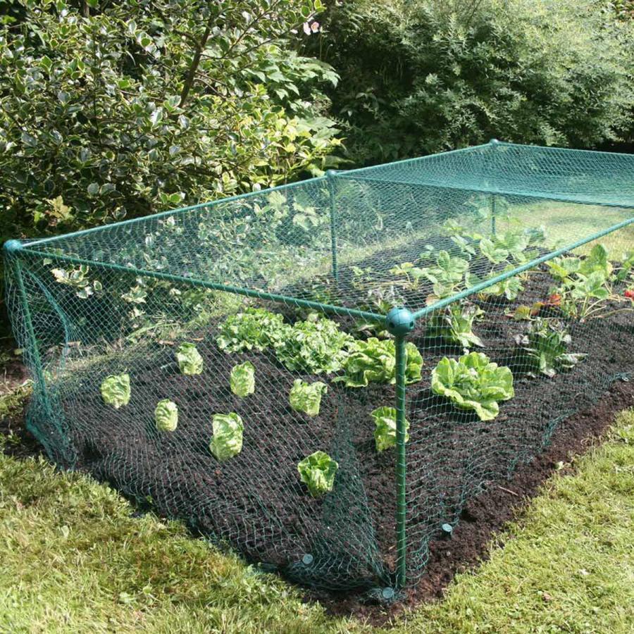 Planting & Growing |  Gardenskill Fruit And Vegetable Garden Cage Kit With Butterfly Netting 1 X 1 X 0.625M Planting & Growing Green