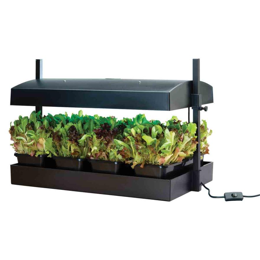 Planting & Growing |  Grow Light Garden Led Black Planting & Growing Black