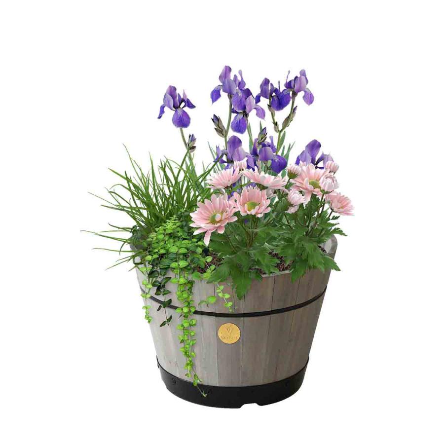 Planting & Growing |  Medium Barrel 46Cm – Grey Wash Planting & Growing Grey