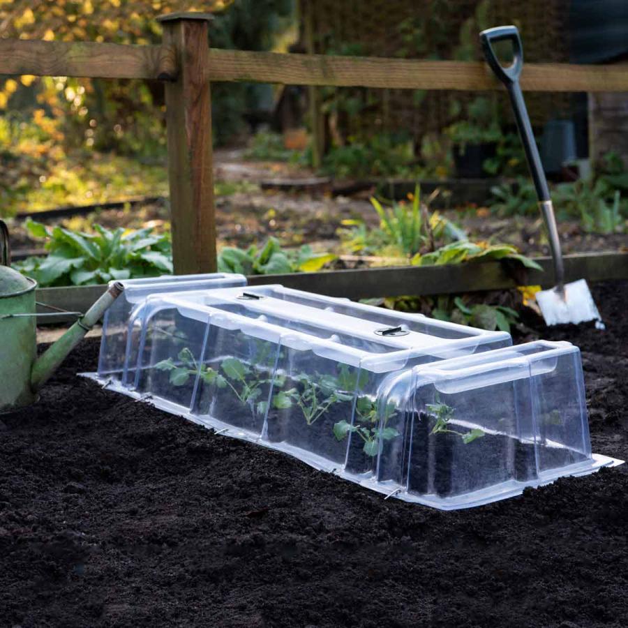 Planting & Growing |  Mini Greenhouse 1 Cloche 2 Ends And Stakes Planting & Growing Clear