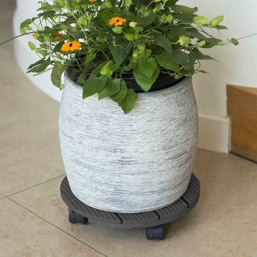 Planting & Growing |  Plant Trolley Round 30Cm Anthracite Wood Planting & Growing Grey