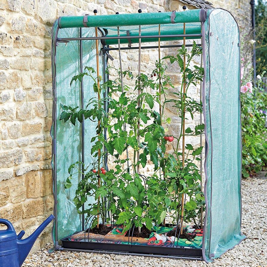 Planting & Growing |  Tomato Max Growhouse Garden Buildings Brown